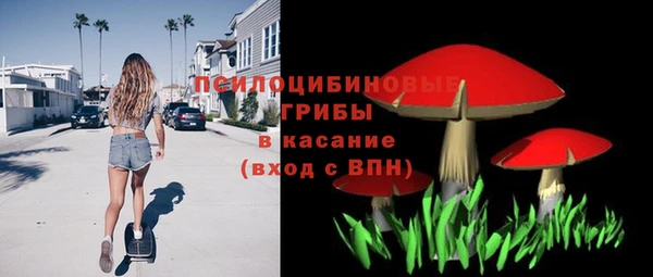 мяу мяу мука Няндома