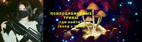 apvp Алексин