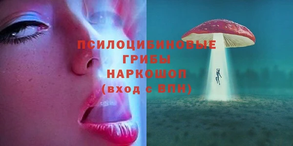 apvp Алексин