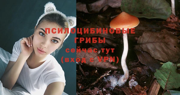 герыч Нязепетровск