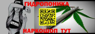 соль ск Дубна