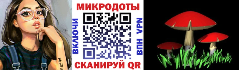 Псилоцибиновые грибы Psilocybe  Симферополь 