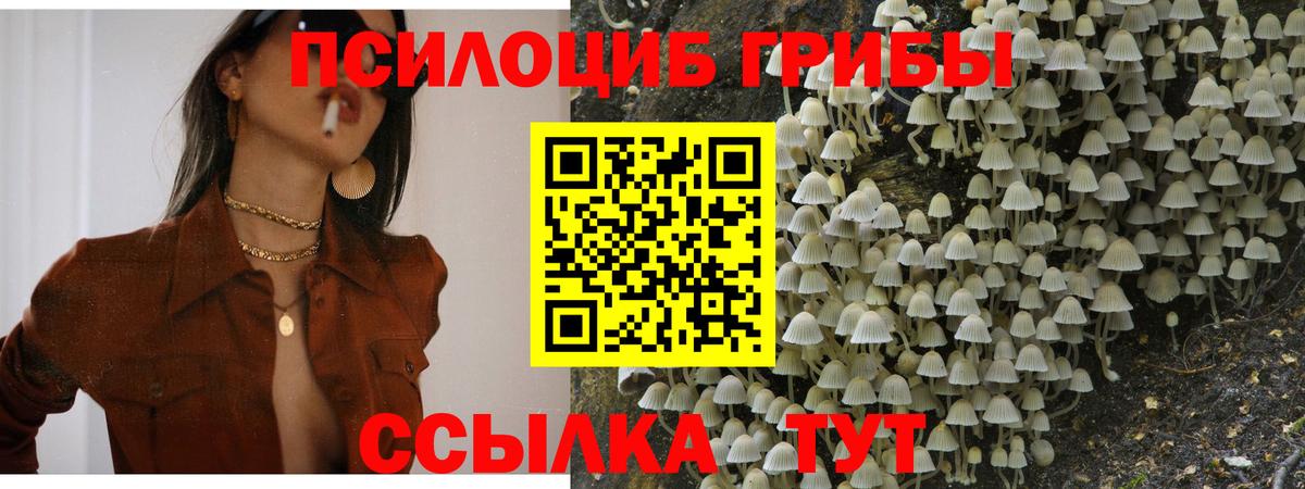 Псилоцибиновые грибы Magic Shrooms  Вход с VPN  Псилоцибиновые грибы Magic Shrooms  Симферополь 